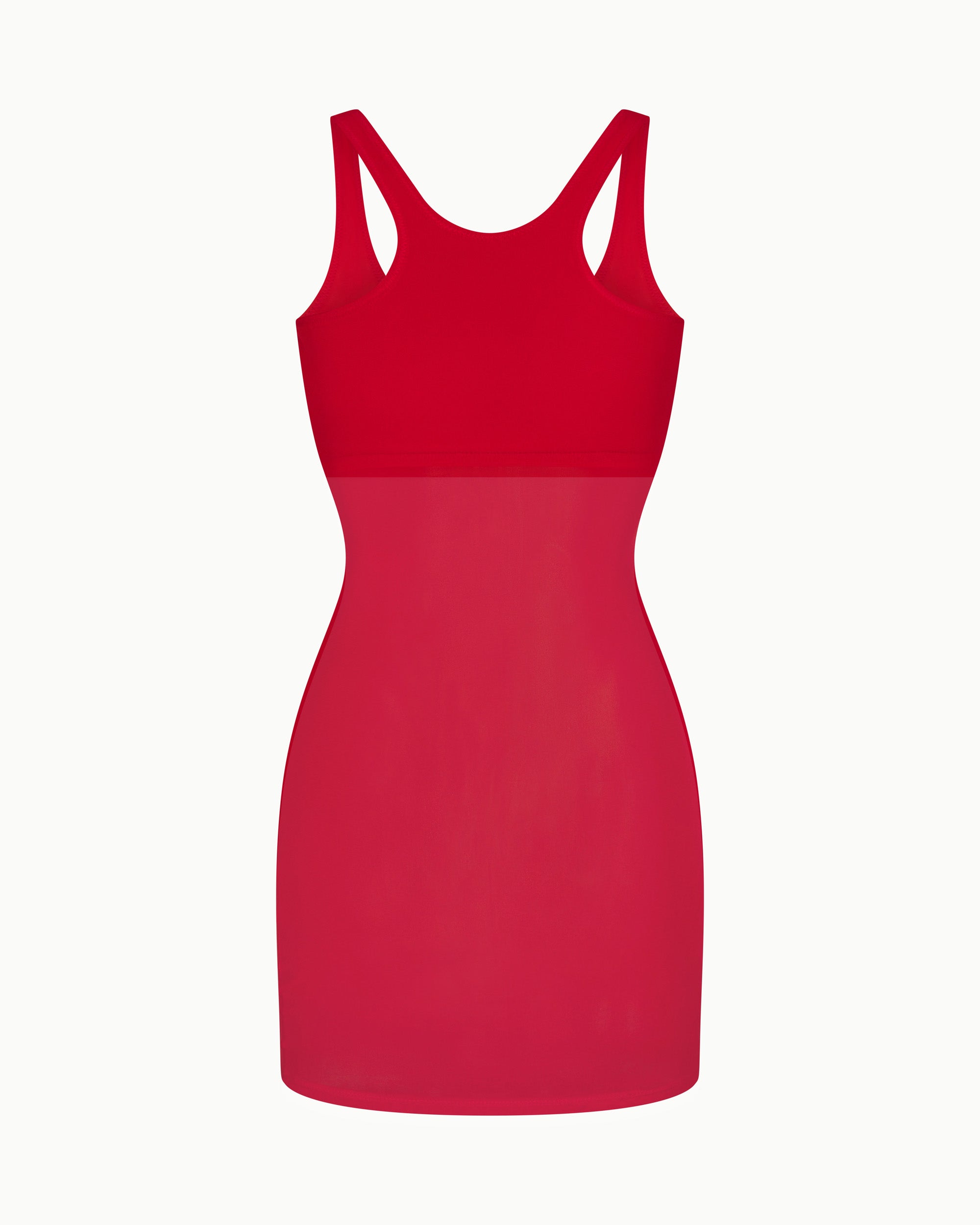 Mesh Swim Mini Dress | Cherry